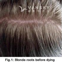 240822105234_Hair-Before Dying-s.jpg